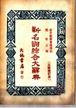 新名词综合大辞典  国际知识
