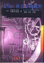 文化:社会学的视野