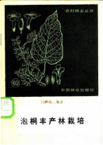泡桐丰产林栽培