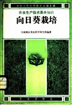 向日葵栽培
