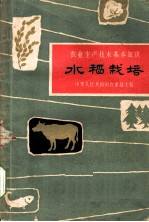 水稻栽培