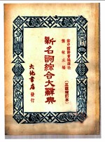 新名词综合大辞典 经济