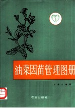 油菜因苗管理图册