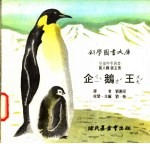 企鹅王