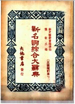 新名词综合大辞典 历史