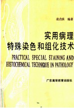 实用病理特殊染色和组化技术