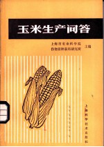 玉米生产问答