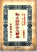 新名词综合大辞典 社会