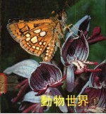 动物的世界 1