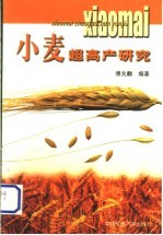 小麦超高产研究