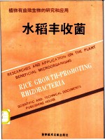 水稻丰收菌
