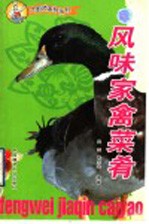 风味家禽菜肴