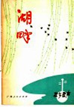 湖畔 壮乡歌声