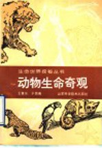 动物生命奇观