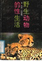 野生动物的性生活