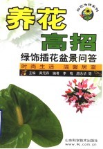 养花高招 绿饰插花盆景问答