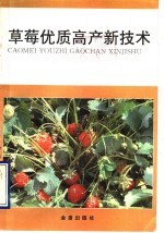 草莓优质高产新技术