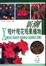 新潮观叶观花观果植物