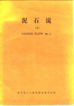 泥石流 3