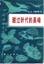 越过时代的高峰