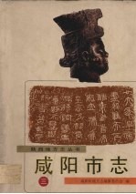 咸阳市志 3