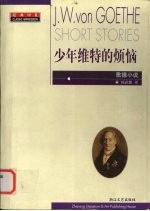 少年维特的烦恼 歌德小说