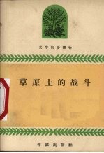 草原上的战斗