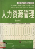 人力资源管理 高级