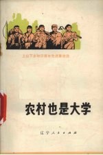 农村也是大学 上山下乡知识青年先进事迹选