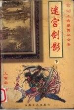 迷宫剑影 下
