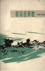 骏马在奔驰 短篇小说集