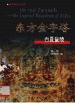 东方金字塔 西夏皇陵