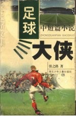 足球大侠 中短篇小说