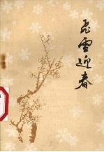 飞雪迎春 短篇小说选