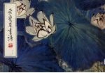 荣宝斋画谱 67 花鸟部分