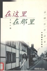 在这里 在那里 高晓红作品集