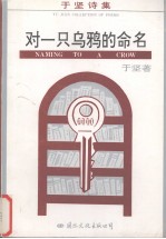 于坚诗集 对一只乌鸦的命名