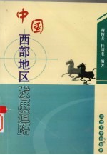 中国西部地区发展道路