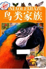 小风车儿童成长百科 鸟类家族