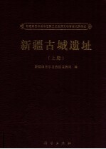 新疆古城遗址 上