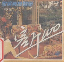 家居装修图册 客厅100