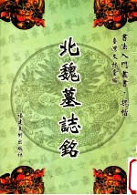 北魏墓志铭 元羽、孟敬训、司马昞、司马显姿、张黑女 附小楷 老子道德经 6