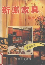新潮家具与室内布置 厨房家具