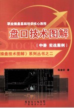 盘口技术图解 中 实战案例
