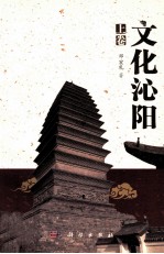 文化沁阳 上