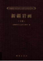 新疆岩画 下