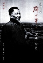 我的父亲邓小平 下 文革岁月
