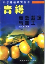青梅高效栽培与加工