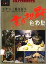 中央工艺美术学院艺术设计基础教学新视野 色彩集