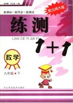 练测1+1 九年级数学 下